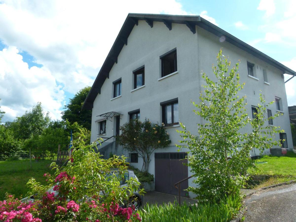 Villa Detente Dauphinoise Saint-Andre-le-Gaz Kültér fotó