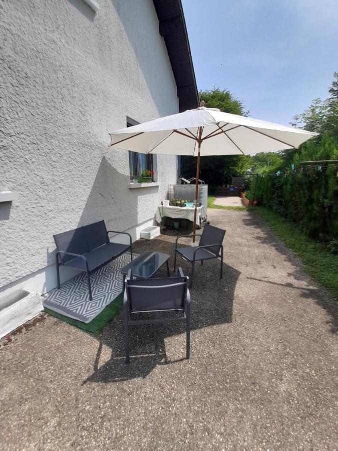 Villa Detente Dauphinoise Saint-Andre-le-Gaz Kültér fotó